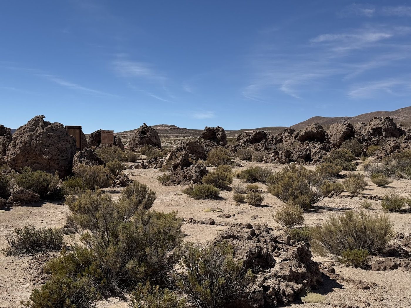 Altiplano panorama with rock outcrops